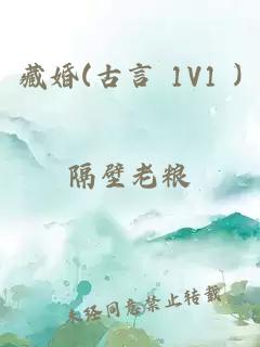 藏婚(古言 1V1 )