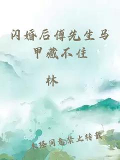 闪婚后傅先生马甲藏不住