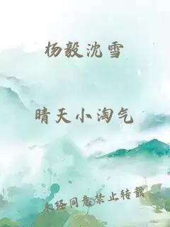 杨毅沈雪