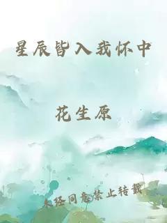 星辰皆入我怀中